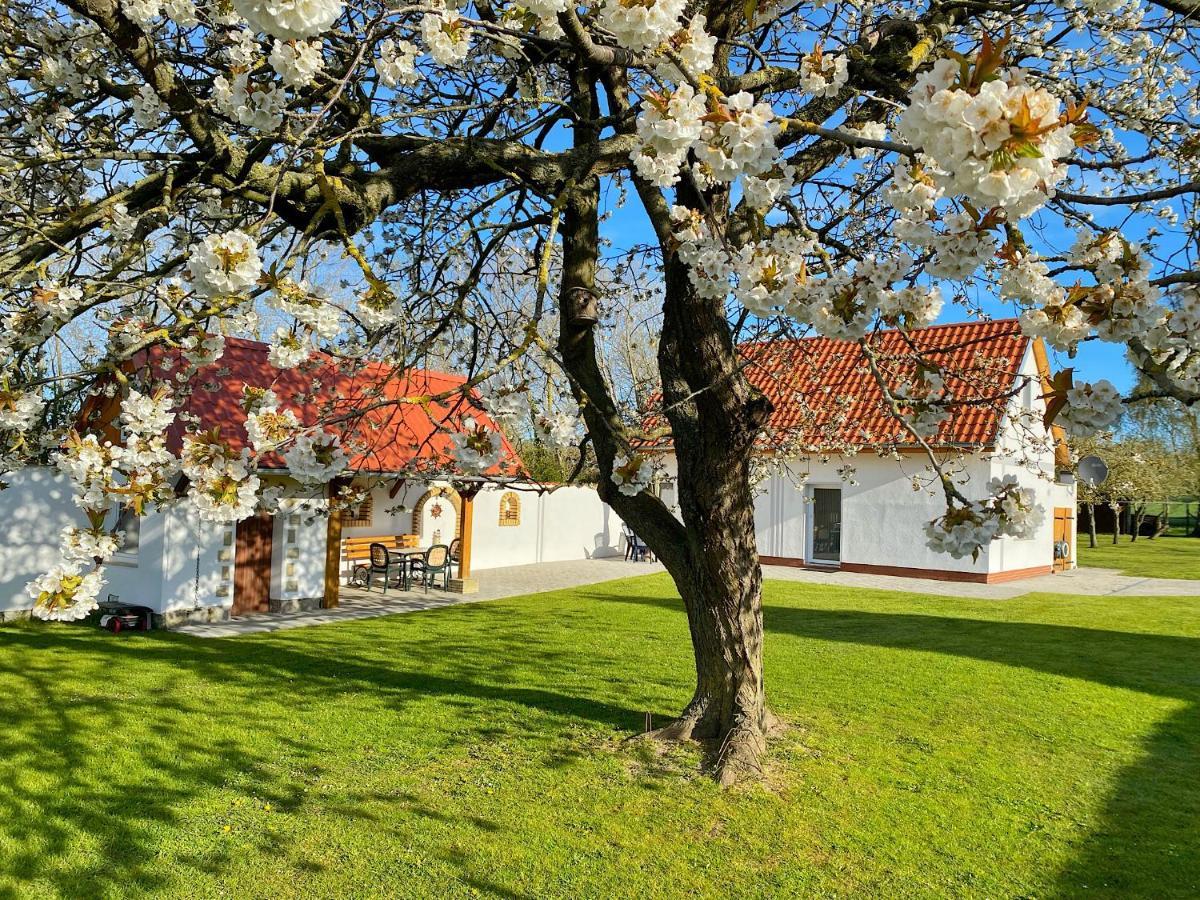 Ferienhaus Berta Sassnitz Eksteriør billede